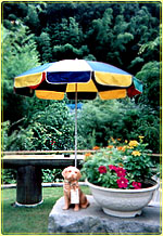 ������󥳡��ʡ�