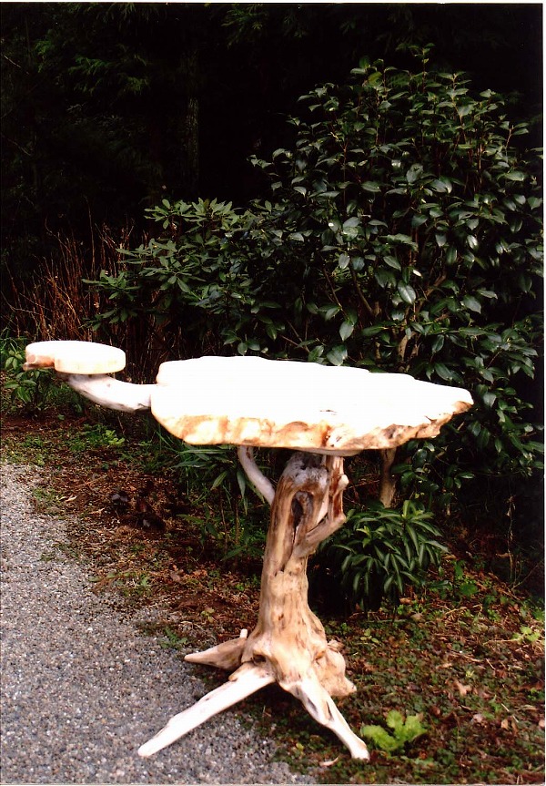 ����e�[�u���i���j