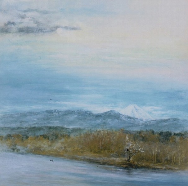 ���t�@S20�@�ߐ{����