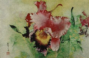 長谷部 貞子　カトレア