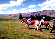 �ڤ�������
�ȥ�å���