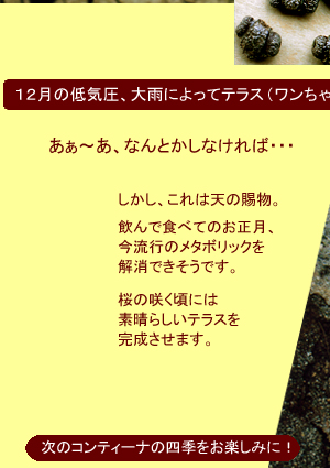 ����ƥ����ʤλ͵�