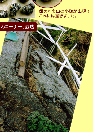 ����ƥ����ʤλ͵�