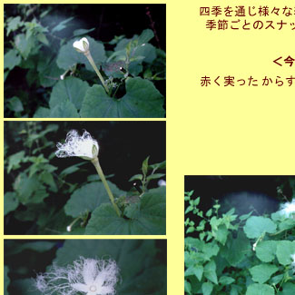 ����ƥ����ʤλ͵�