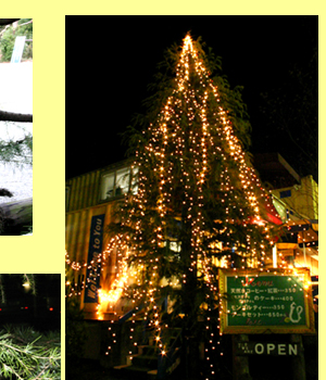 ����ƥ����ʤλ͵�