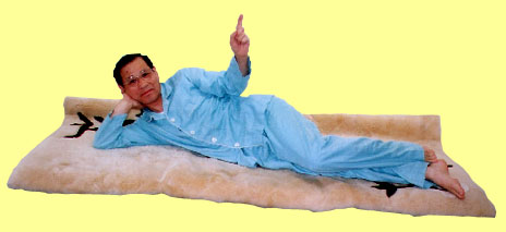 �ࡼ�ȥ�������